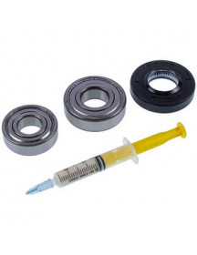 Ремонтний набір (сальник 25*50.55*10/12mm + підшипники 203/204 + змазка) Samsung