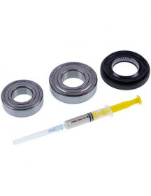 Ремонтний набір (сальник 37*66*9.5/12mm + підшипники 205/206 + змазка) LG