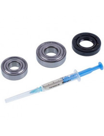 Ремонтний набір (сальник 25*47*10mm + підшипники 203/204 + змазка) Ariston
