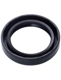 Уплотнитель 40*55*10 SKL для стиральной машины