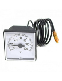 Термометр для газового підлогового котла Protherm Грізлі v.12, Ведмідь v.10-15, Тигр v.12 0020025279