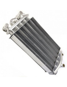 Теплообмінник бітермічний для газового котла Saunier Duval Renova Star 0020025297