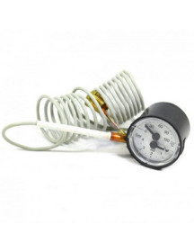 Термоманометр для електричного котла Protherm Скат v.11 0020027625