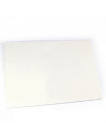 Теплоізоляційна панель задня 310х215 мм для газового котла Protherm Тигр v.10-11 0020033582