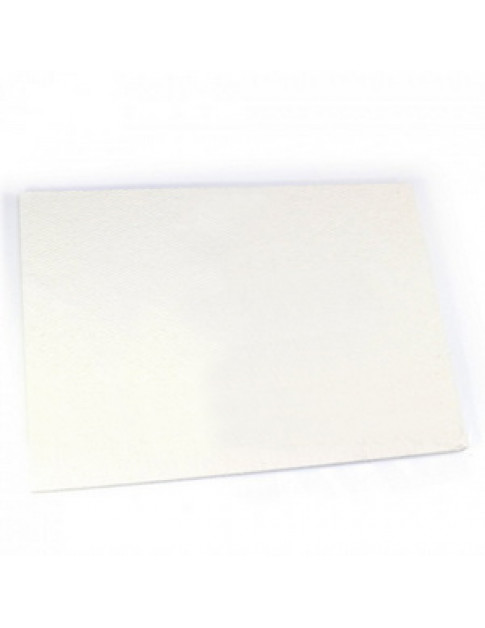 Теплоізоляційна панель задня 310х215 мм для газового котла Protherm Тигр v.10-11 0020033582