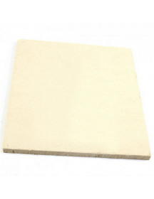 Теплоізоляційна панель бічна для газового котла Protherm Леопард v.17, Рись 0020034766