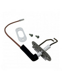 Електроди розпалу та іонізації для конденсаційного котла Vaillant ecoTEC 0020246709