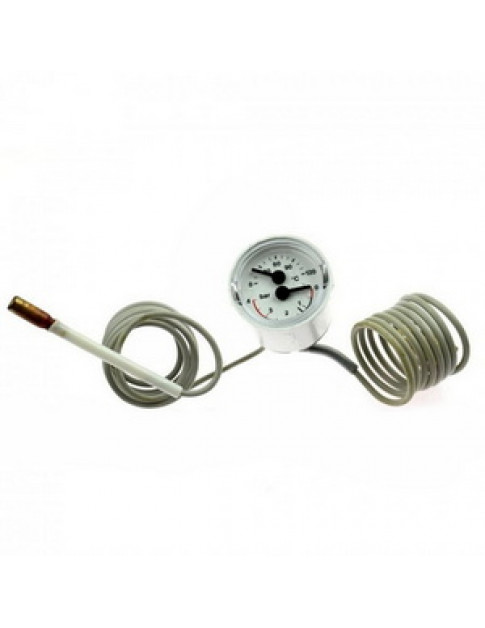 Термоманометр для газового котла Immergas Eolo/Nike Mini/Star 1.013413 Термоманометр для газового котла Immergas Eolo/Nike Mini/Star 1.013413