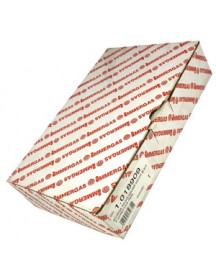 Плата керування B&P MLC09 для газового котла Immergas Eolo/Nike Major, Avio/Zeus Major 1.018909