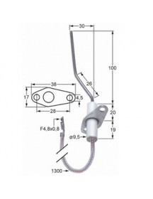 Електрод розпалу для піца-печі Cuppone/Electrolux Professional/Zanussi 100780