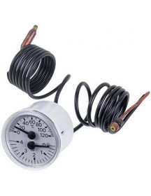 Термоманометр 0-4 бар 0-120 °C для газового котла Vaillant atmoMAX plus/pro 101270