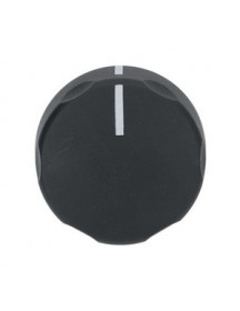 Ручка перемикання (рукоятка) для пароконвектомата Gierre 110000