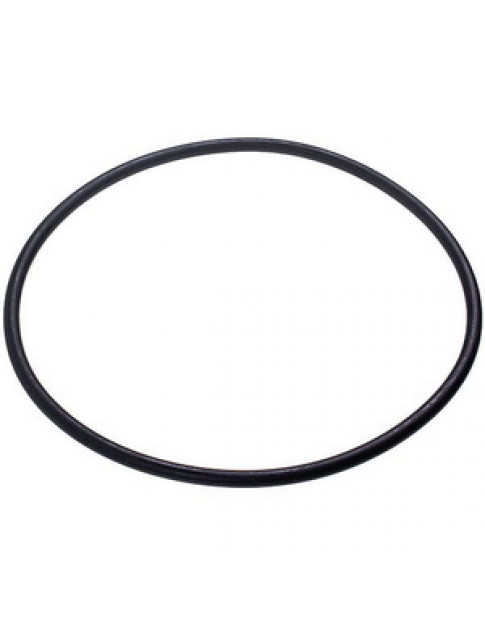 Прокладка O-Ring фильтра помпы для посудомоечной машины Electrolux 1119186003