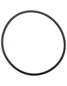 Прокладка O-Ring фільтра помпи для посудомийної машини Electrolux 1119186003