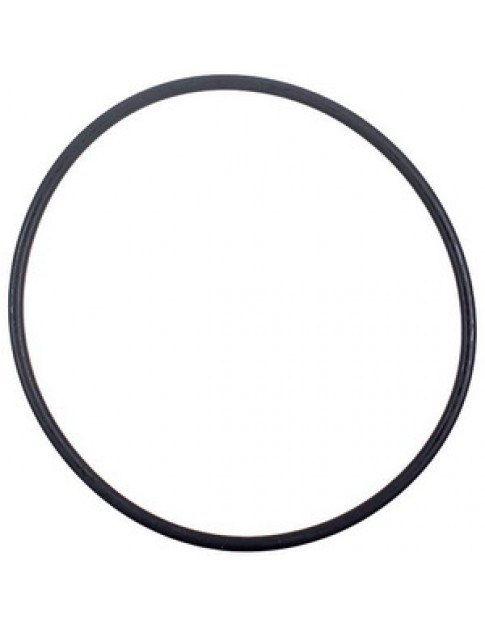 Прокладка O-Ring фильтра помпы для посудомоечной машины Electrolux 1119186003