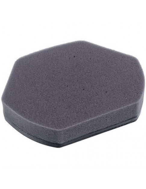 Фільтр контейнера для пилососа Bosch 12012937 (поролоновий)