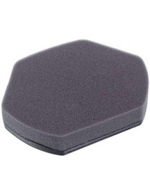 Фільтр контейнера (поролон) для пилососа Bosch 12012937