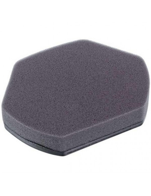 Фільтр контейнера (поролон) для пилососа Bosch 12012937