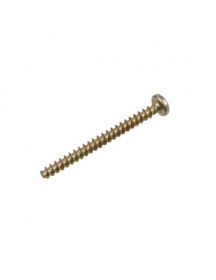 Гвинт кріплення нижнього жорна кавомолки Philips Saeco T10 TCB 129931002