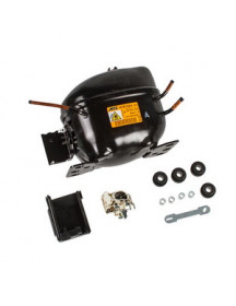 Компресор для холодильника Electrolux 140008877205 ACC HTK12AA R600a 198W (з пусковим реле)