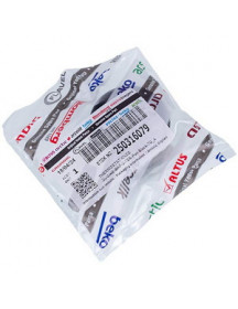 Ручка регулювання температури духовки для плити Beko 250316079