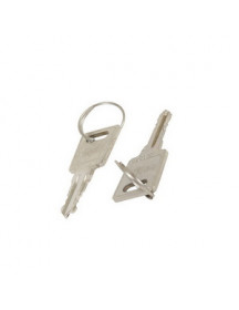 Набір ключів (2 шт.) замка дверей морозильної камери AEG 2912809049