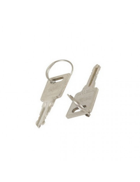 Набір ключів (2 шт.) замка дверей морозильної камери AEG 2912809049