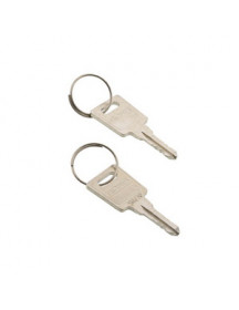 Набір ключів (2 шт.) замка дверей морозильної камери AEG 2912809049 Набір ключів (2 шт.) замка дверей морозильної камери AEG 2912809049