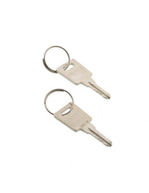 Набір ключів (2 шт.) замка дверей морозильної камери AEG 2912809049