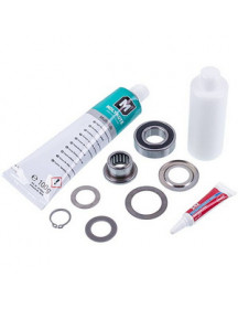 Підшипник для овочерізки Robot Coupe 29630 SKF 6004-2RS (20x42x12) з ремонтним набором