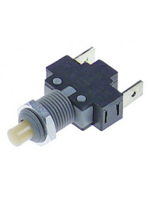 Мікровимикач E2167-A для овочерізки Sirman 347060 16A 250V