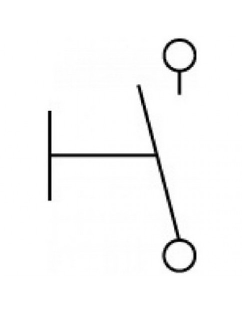  Мікровимикач кінцевик для дверей 347288 16A 250V VRSR98DA1