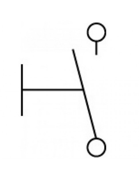 Мікровимикач кінцевик XZ-15GQ-21-B XURUI для тістоміса Pizza Group 347434 з роликом 16A 250V
