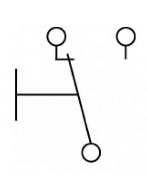Мікровимикач кінцевик для посудомийної машини Aristarco 347862 10A 230V