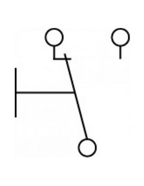 Мікровимикач кінцевик для дверей пароконвектомата Unox/Stalgast 347985 5A 250V MKH12D09