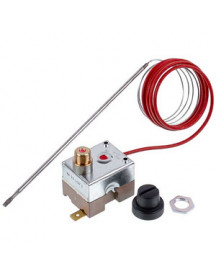 Термостат для пароконвектомата Piron/Tecnoeka/Apach 375892