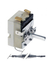 Термостат EGO 55.13034.210 5513034210 для фритюрниці Metro, Horeca Select 390968 ..-185°C