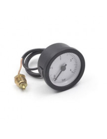 Манометр 0-4 бар D=58/52 мм для газового котла Ferroli Domina C 24 M 39803890 Манометр 0-4 бар D=58/52 мм для газового котла Ferroli Domina C 24 M 39803890