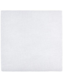 Фільтр вихідний (мікро) для пилососа Electrolux 4055309761 90x90x4mm