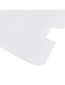 Фільтр вихідний (мікро) для пилососа Zanussi 4071424875