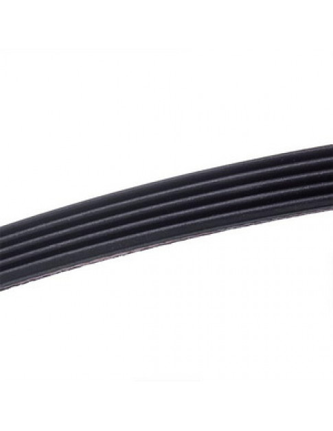 Ремінь для пральної машини 1244J5 PJ Hutchinson 481935810047