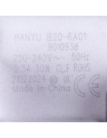 Candy 49002228 Помпа в зборі Hanyu 30W B20-6A01 для пральної машини