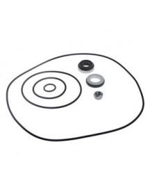 Сальник насоса, керамічне ущільнення валу помпи Hanning для посудомийної машини Hobart AMX, AMX-E, AUX серії 510665