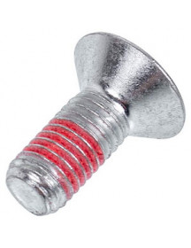 Болт кріплення шківа M10x25 для пральної машини Electrolux 5191350270