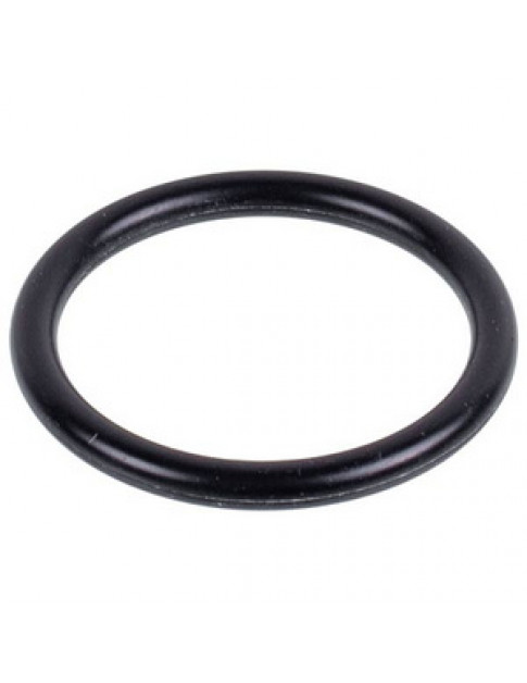 Прокладка O-Ring поршня заварювального блока 5313238581 для кавомашини DeLonghi