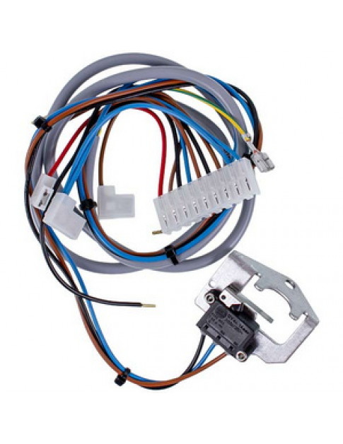 Мікровимикач для газового котла Baxi Eco, Westen Energy 607470