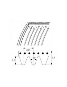 Ремінь поліклиновий для картоплечистки Fimar 692144 559J