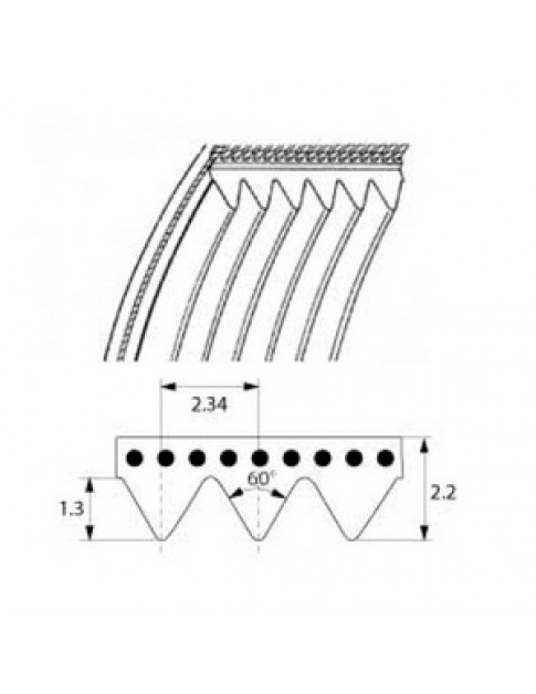 Ремінь (поліклиновий) TB2.34-610 MEGADYNE для картоплечистки Pasquini, Fama RIC-CINGHIA-PP10 FP021 697636