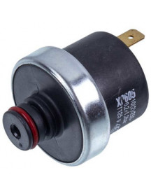 Реле тиску води XP605 0,2 -1,2 бар для газового котла Fondital Antea, Panarea, Nova Florida Delfis 6PRESSAC01