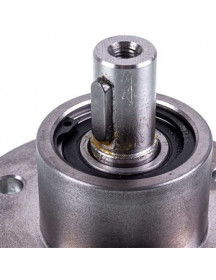 Ступиця (вал) для картоплечистки Equipe PSP700 703.662